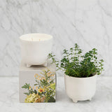 Myrtle & Moss Botanical Candle