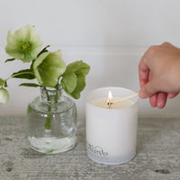 Olieve & Olie Australian Olive Oil Candle