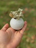 Mini Bud Vase