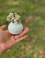 Mini Bud Vase