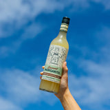 Mr Consistent - Coconut Margarita