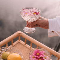 Wandering Folk Primrose Margarita Glass - Set of 2