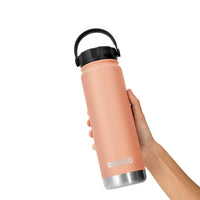 Project PARGO 750mL Insulated Water Bottle