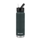 Project PARGO 750ml Insulated Sports Bottle w/ Straw Lid