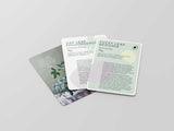 The Leaf Supply Deck of Plants