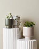 Finch Pot Medium - Various Colours