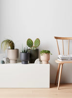 Finch Pot Medium - Various Colours