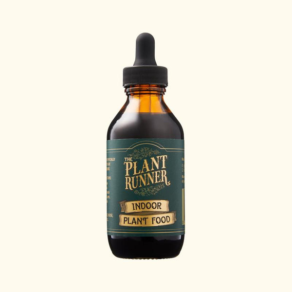 The Plant Runner - Indoor Plant Food