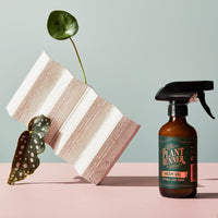 The Plant Runner - Neem Oil Leaf Shine