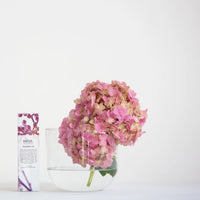 Salus Body Pregnancy Oil